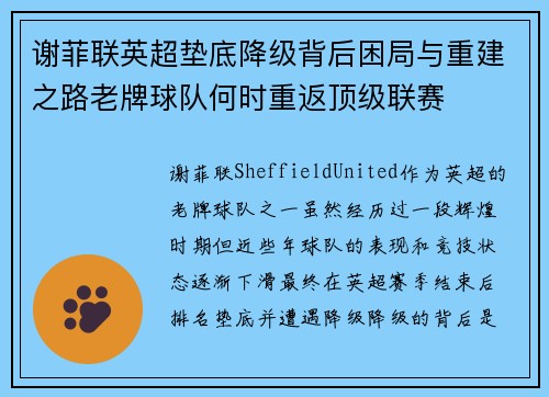 谢菲联英超垫底降级背后困局与重建之路老牌球队何时重返顶级联赛 谢菲联英超垫底降级背后困局与重建之路老牌球队何时重返顶级联赛
